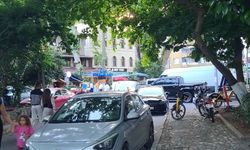 İstanbul’da Ağaçlar Şehre Serinlik ve Güzellik Katıyor