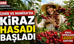 İzmir ve Manisa’da Kiraz Hasadı Başladı