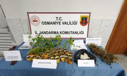 Jandarmadan Osmaniye'de Suçlulara Geçit Yok