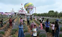 Kadirli’de Geleneksel Lavanta ve Zeytin Çiçeği Festivali Düzenlendi