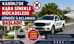 Kadirli'de Kara Sinekle Mücadelede Gündüz İlaçlaması Başladı