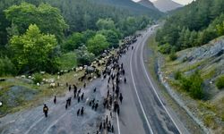 Kozanlı göçerlerin yayla yolculuğu başladı