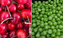 Osmaniye’de Yazın Gözdesi Erik mi Kiraz mı?