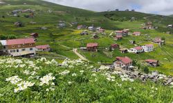 Of, Trabzon’un Yeşille Bütünleşen Saklı Güzelliği