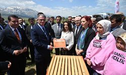 Van'da bal üreticileri için arılı kovan dağıtımına başlandı