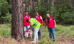 Ülkü Ocaklarından Doğadaki Canlara Destek