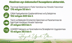 315 Milyon TL'lik Hibe Üreticinin Hesabında!