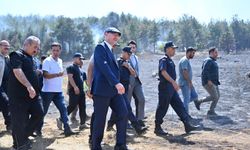Yarpuz Yangınında Son Durum Vali Serdengeçti Bilgi Verdi