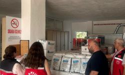 Alanya ve Aksu’da Tarımsal Denetimler Sürüyor