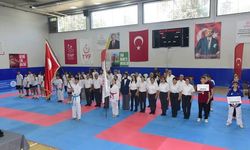 Osmaniye'de ANALİG Karate Heyecanı Başladı