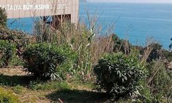 Antalya Atatürk Kültür Parkı Yoğun İlgi Görüyor