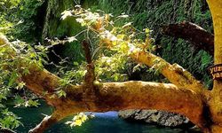 Antalya Kurşunlu Şelalesi Doğaseverleri Büyülüyor