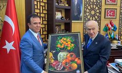 Osmaniye'nin Komşusu Kozan İçin İl ve Tren Hattı Umudu