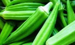 Herkes Küçüğünü Alıyor Ama Büyük Bamyanın Faydası Duyanları Şaşırtıyor