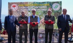 İstanbul Büyükada'da 1000 Sülün Doğal Yaşamla Buluşturuldu
