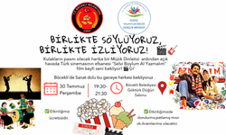 Böcekli Belediyesi'nden açık havada sinema keyfi