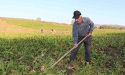 Düziçi Belediyesi’nden Çiftçilere Erken Ödeme Hatırlatması