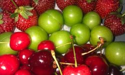 Osmaniye’de Yıkanmadan Meyve Tüketmeyin Uyarısı
