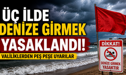 3 İlde Denize Girmek Yasaklandı! İşte Yasak Olan Sahiller
