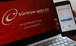 e-Devlet’te teknik aksaklık Kullanıcılar giriş yapamıyor