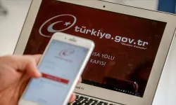 e-Devlet'te Yeni Dönem: Elektronik Para Hesapları ve Bakiyeler Görüntülenebilecek