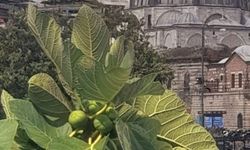 Eminönü’nde Yoğunluk Dikkat Çekiyor Hareketlilik Sürüyor