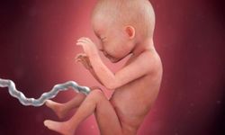 26 Haftalık Gebelikte Neler Olur? Hangi Ağrılar Tehlikeli?