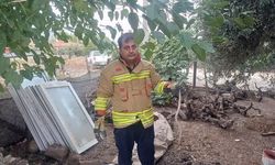 Hassa ve Erzin’de Yılanlar Zarar Vermeden Kurtarıldı