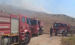Hatay'da makilik alana sıçrayan anız yangını söndürüldü