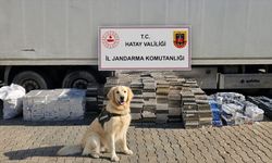 Hatay'da tırda 30 bin paket kaçak sigara ele geçirildi