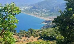 Hatay’da Yayıkdamlar’dan Akdeniz’e Uzanan Doğa Yolculuğu