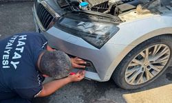 HBB İtfaiyesi Minik Dostları Kurtardı