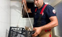 BB İtfaiyesi Minik Canların Yardımına Koştu