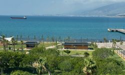 İskenderun Sahili Akdeniz’in Gözde Yaşam Alanı Oldu