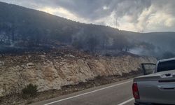 Isparta'da çıkan orman yangını kontrol altına alındı