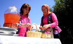 Isparta'da Osmanlı'dan günümüze gül şerbeti geleneği yaşatılıyor
