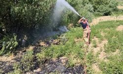 Altınözü’nde Otluk Alan Yangını Kontrol Altına Alındı