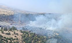 Kahramanmaraş'ta çıkan orman yangını kontrol altına alındı