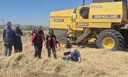 Karatay'da Hasat Mesaisi! Biçerdöverler ve Tarlalar Denetim Altında