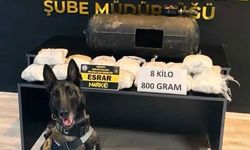 Jardi, Üçüncü Kez Türkiye'nin En Başarılı Görev Köpeği Seçildi