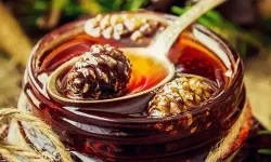 Osmaniyeliler Yaylada Kozalak Pekmezi İçin Harekete Geçti