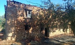 Malatya'da meyve bahçesinde çıkan yangında 2 ev zarar gördü