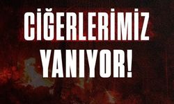 Memur-Sen İl Başkanı Kahraman'dan Yangın Uyarısı