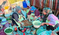 Mersin'de '2. Gülnar Batırık Festivali' düzenlendi