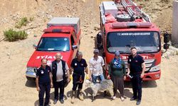 Mersin'de kayalıklarda mahsur kalan keçi kurtarıldı