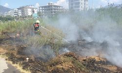 Mersin'de sazlık alanda çıkan yangın söndürüldü