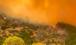 Muğla’da Alev Alarmı Orman Yangını Büyüyor