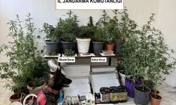 Muğla'da haziran ayındaki uyuşturucu operasyonlarında yakalanan 118 şüpheliden 6'sı tutuklandı