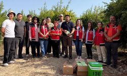 Nar Bahçelerinde Doğal Mücadele İçin 27 Bin Böcek Salındı