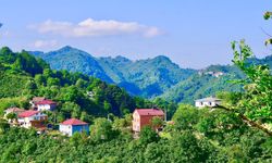 Ordu Bayadı Vadisi Doğa Tutkunlarının Gözdesi Oldu